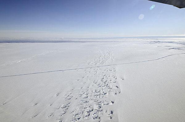 Huge Crack Discovered in Antarctic Glacier